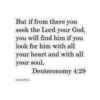 Deuteronomy 4:29 - Kiss-Cut Stickers - Image 7